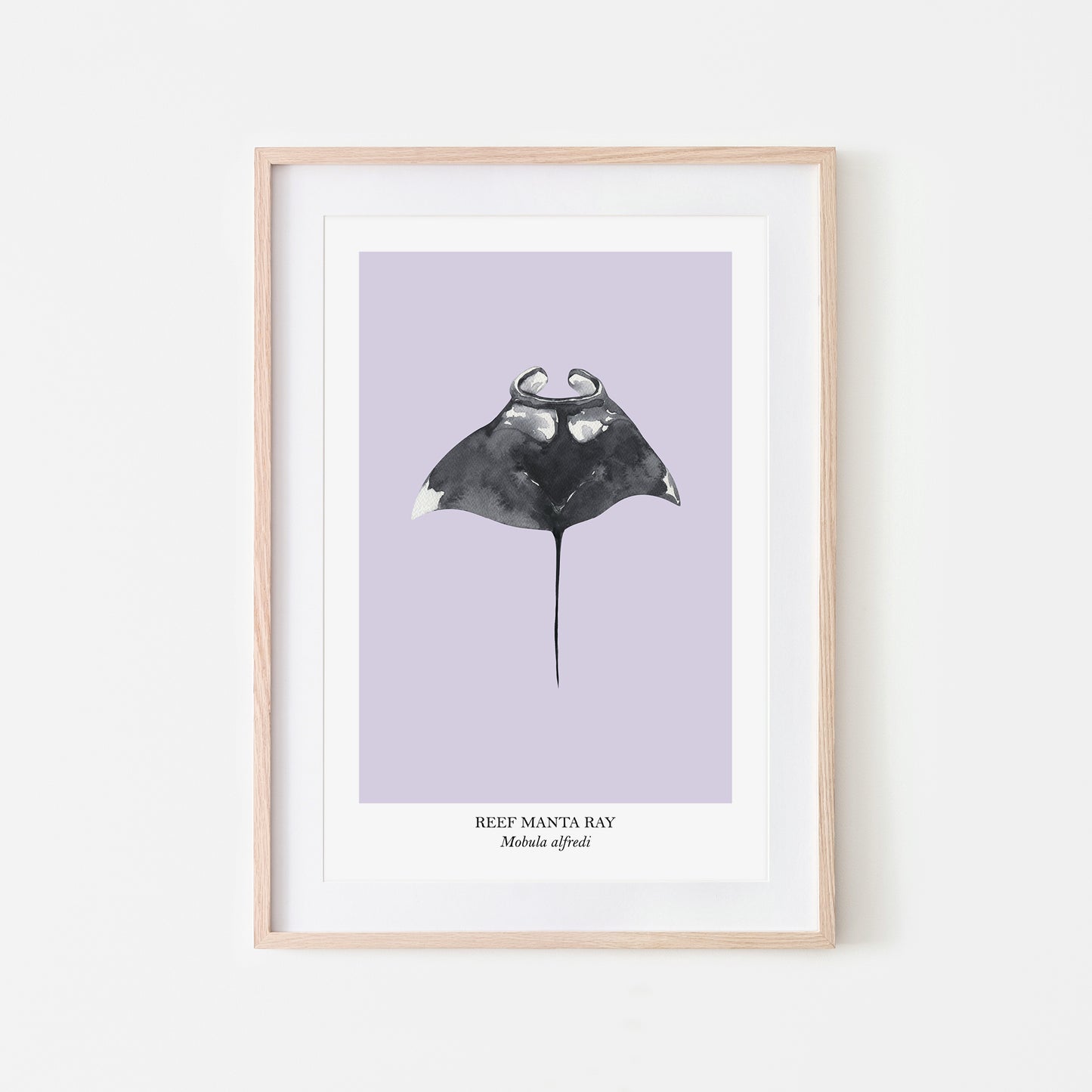 Manta-Ray-Watercolour-Sea-Creature-Wall-Art-in-Peri-Purple