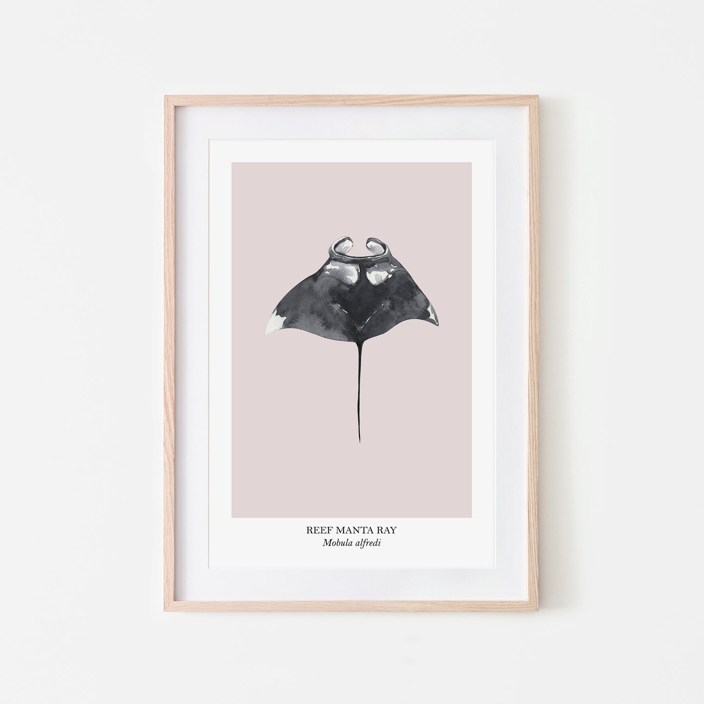 Manta-Ray-Watercolour-Sea-Creature-Wall-Art-in-Pointe-Pink
