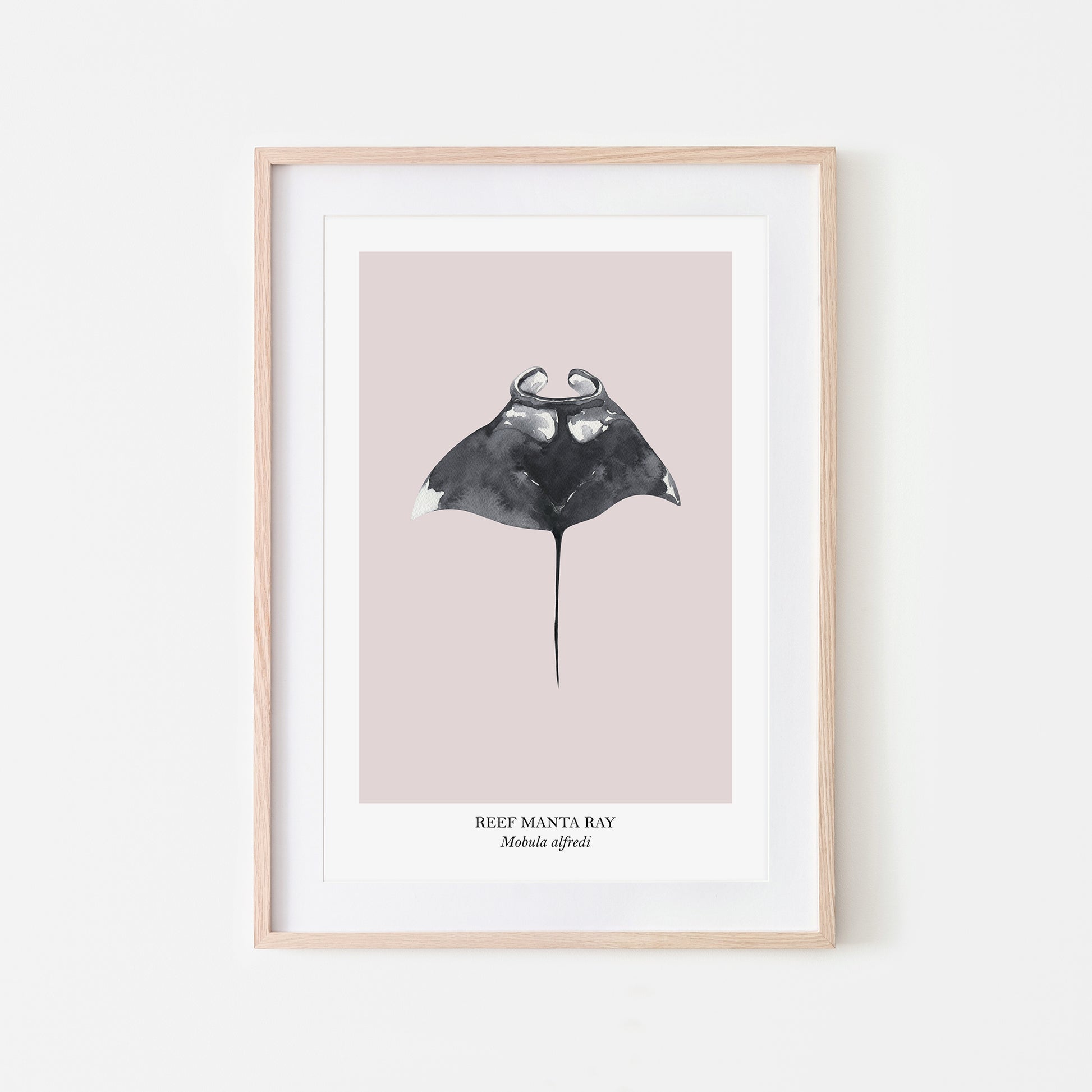 Manta-Ray-Watercolour-Sea-Creature-Wall-Art-in-Pointe-Pink