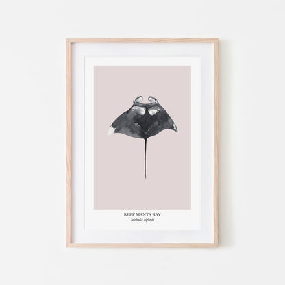 Manta-Ray-Watercolour-Sea-Creature-Wall-Art-in-Pointe-Pink