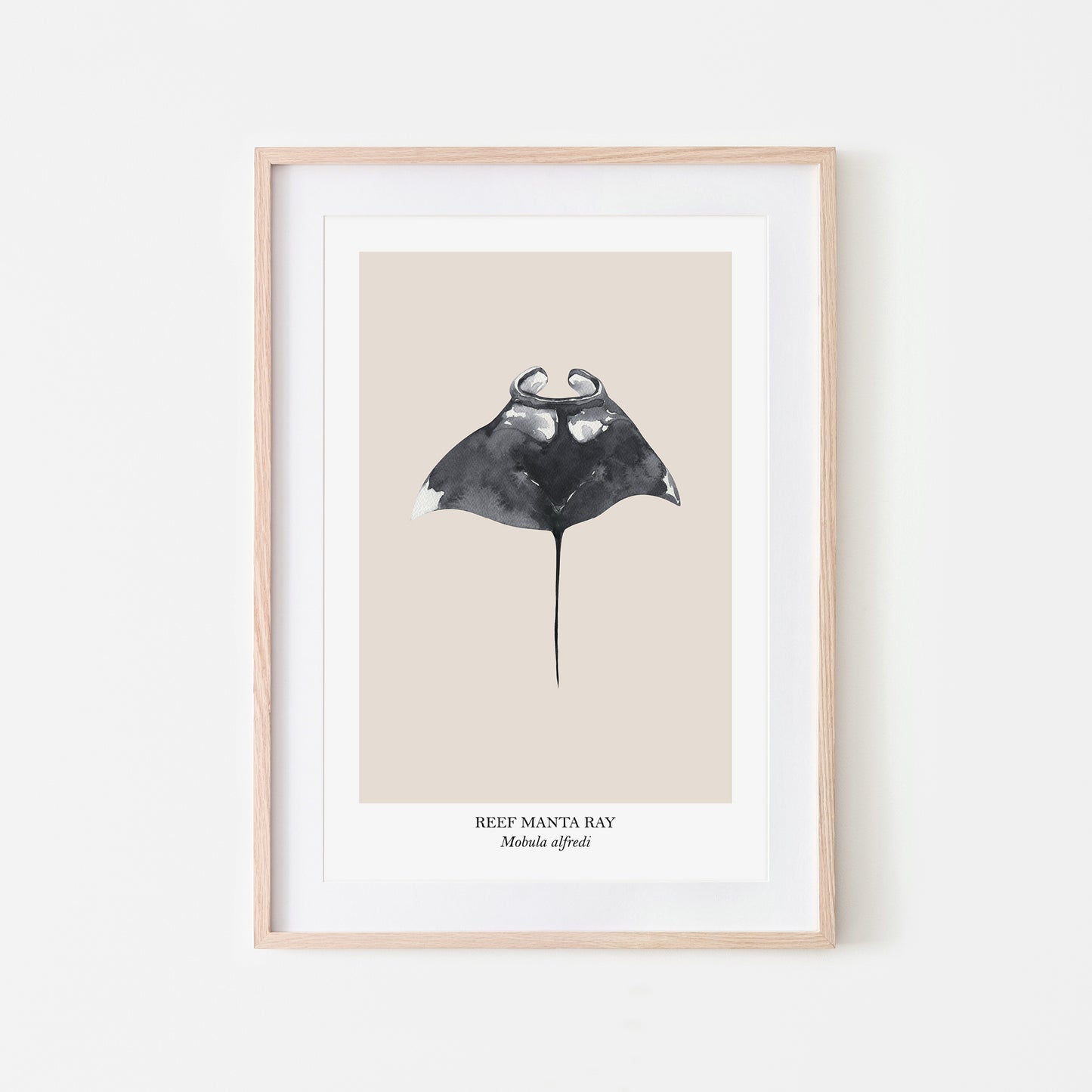 Manta-Ray-Watercolour-Sea-Creature-Wall-Art-in-Sand