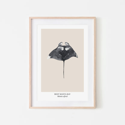 Manta-Ray-Watercolour-Sea-Creature-Wall-Art-in-Sand