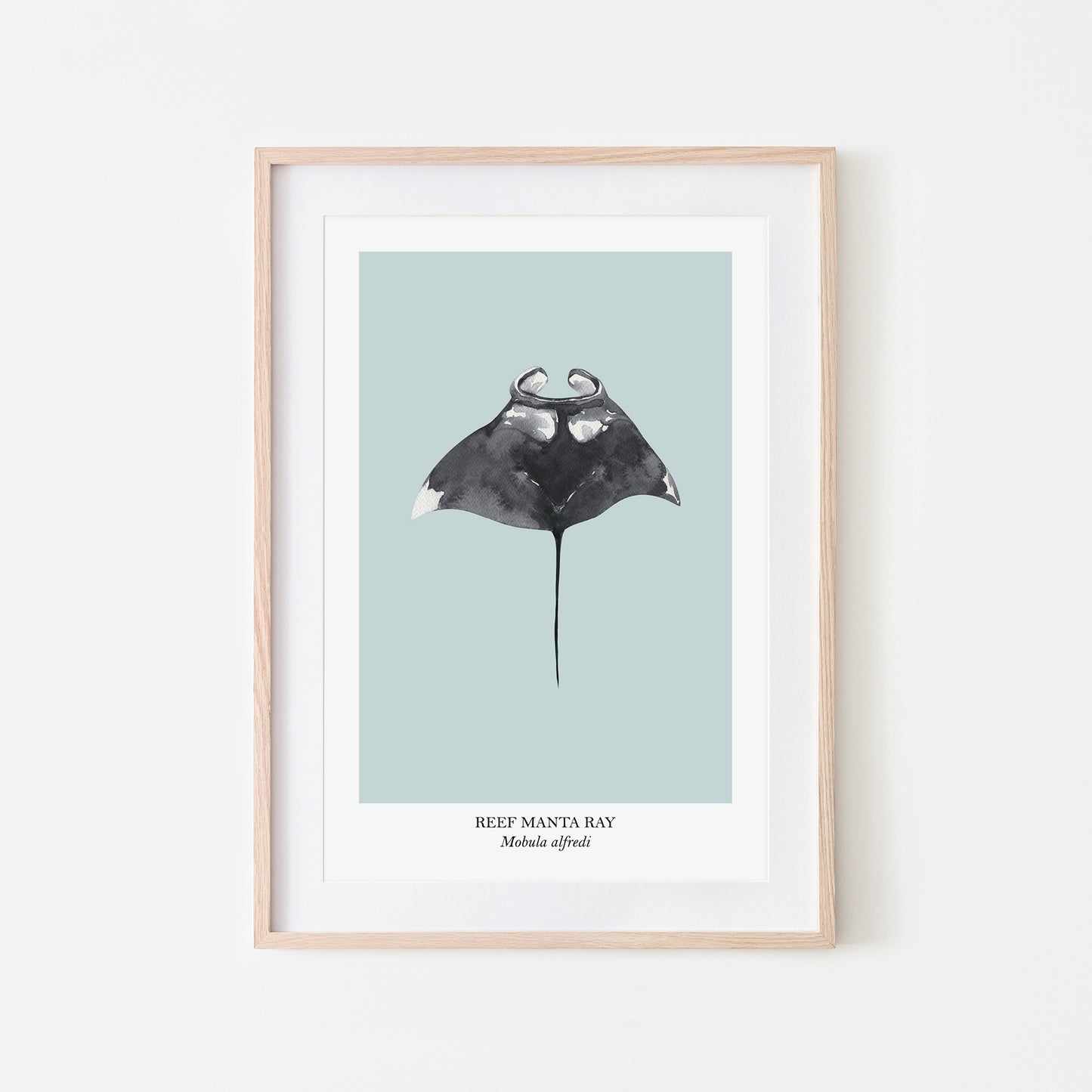 Manta-Ray-Watercolour-Sea-Creature-Wall-Art-in-Shell-Blue