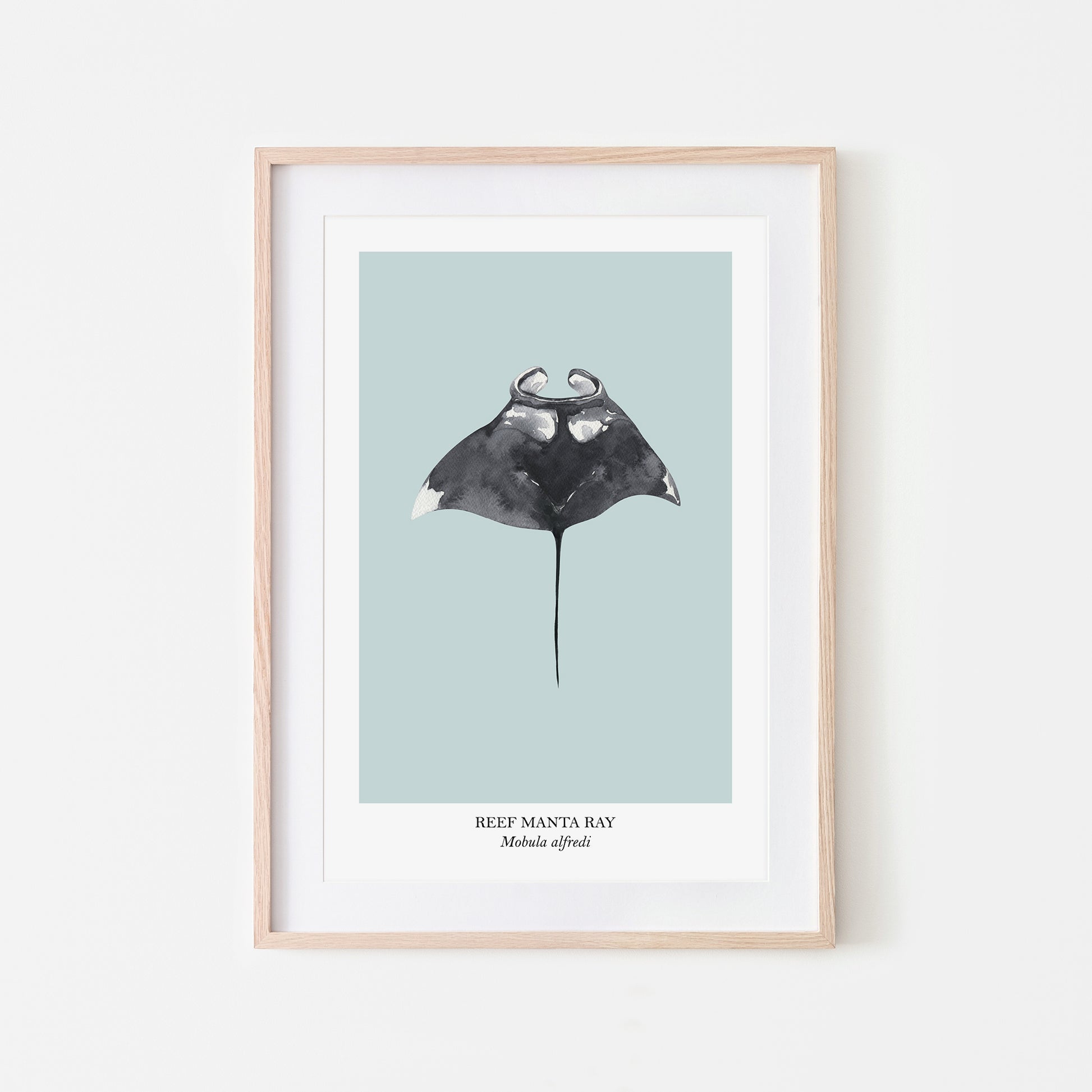 Manta-Ray-Watercolour-Sea-Creature-Wall-Art-in-Shell-Blue