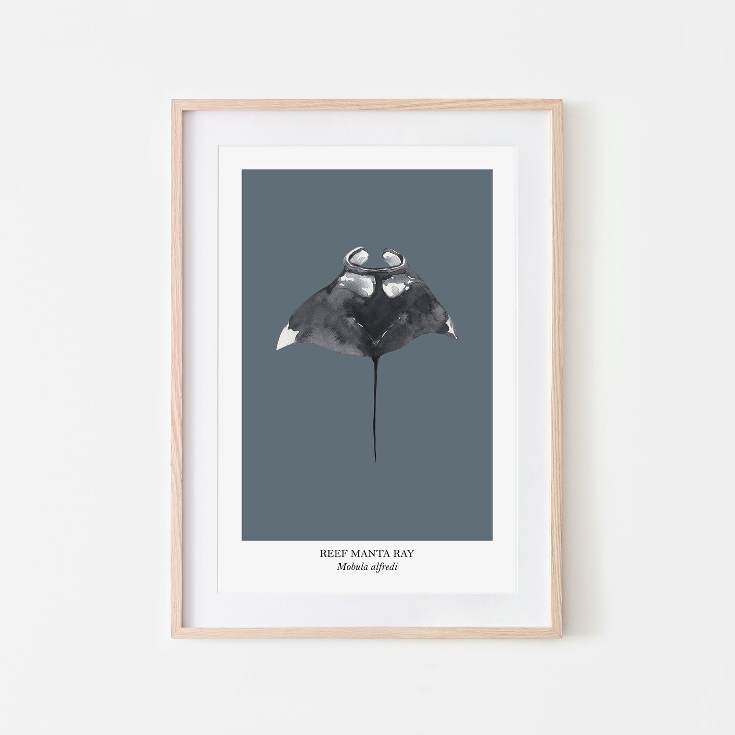 Manta-Ray-Watercolour-Sea-Creature-Wall-Art-in-Sky-Blue