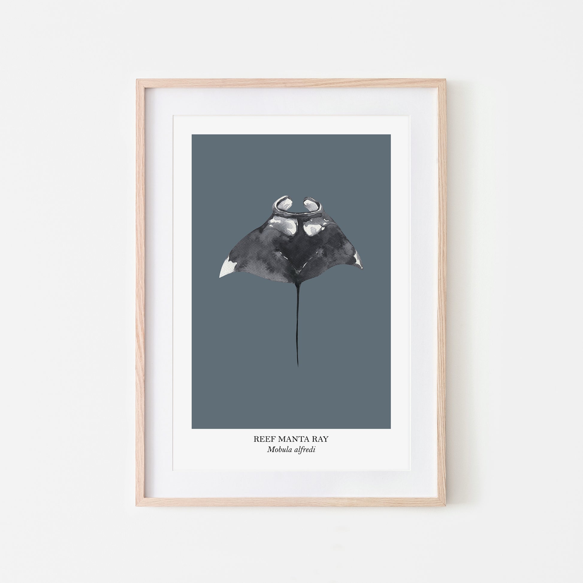 Manta-Ray-Watercolour-Sea-Creature-Wall-Art-in-Sky-Blue