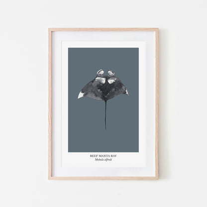 Manta-Ray-Watercolour-Sea-Creature-Wall-Art-in-Sky-Blue
