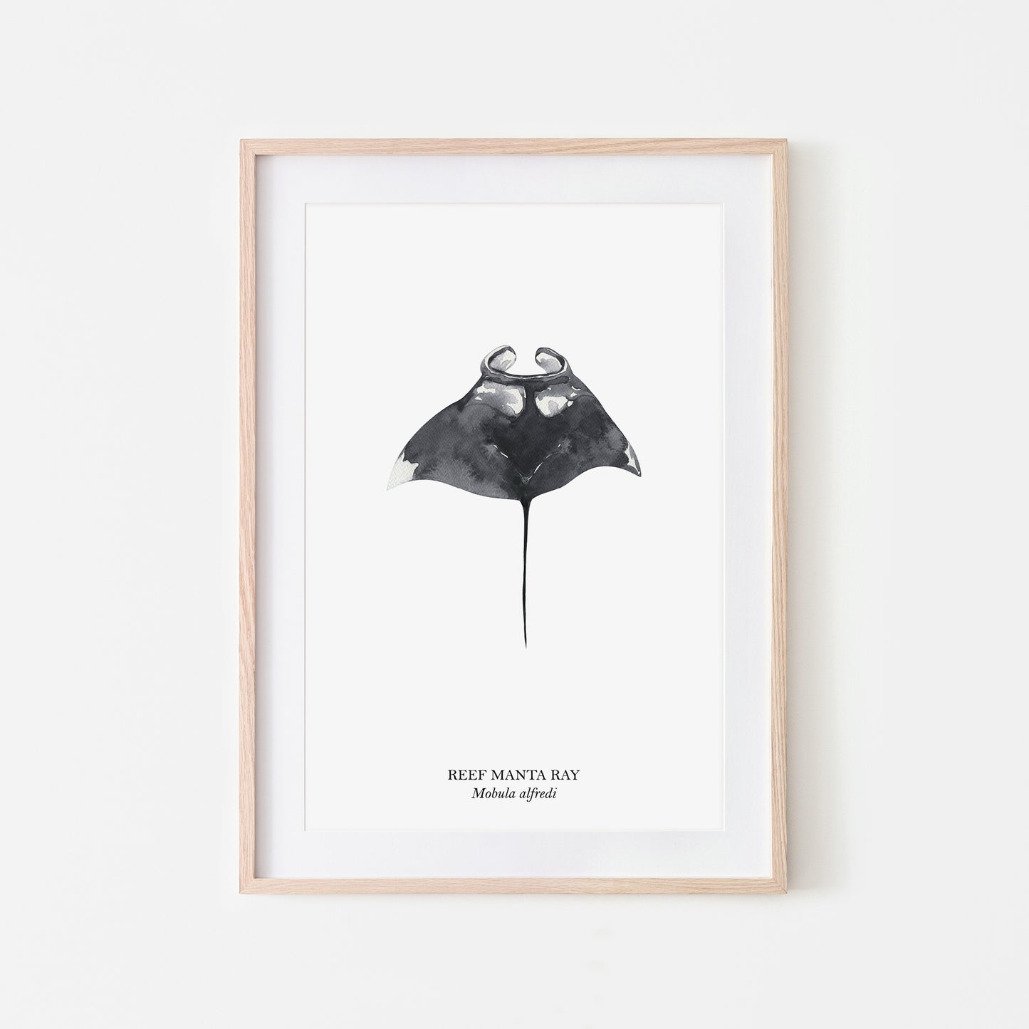 Manta-Ray-Watercolour-Sea-Creature-Wall-Art-in-White