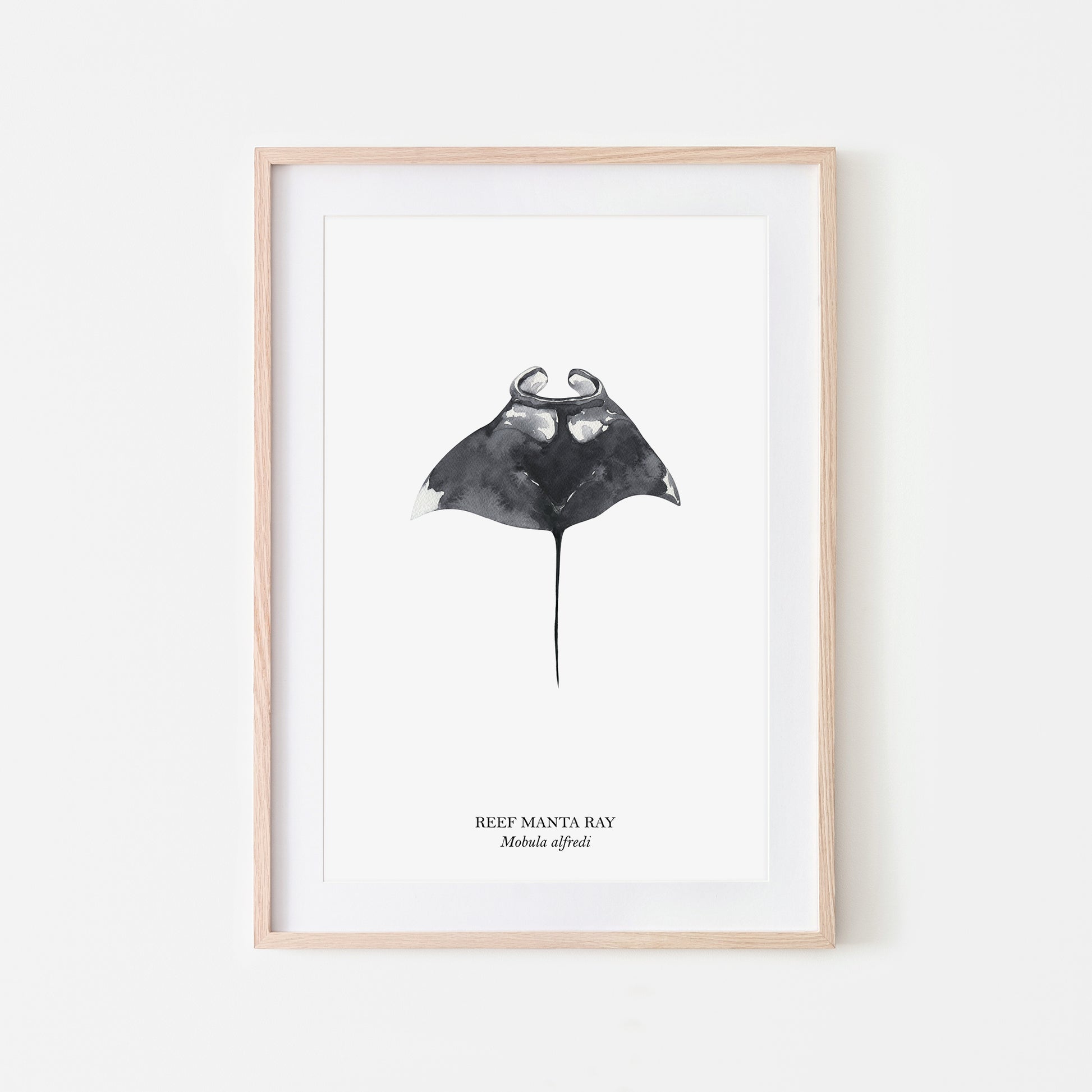Manta-Ray-Watercolour-Sea-Creature-Wall-Art-in-White