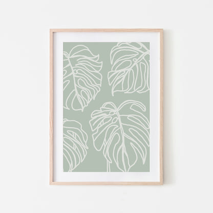 Monstera-Mist-Green-Website-Main-Image