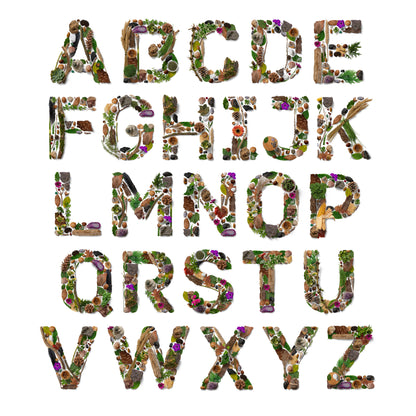 My-Nature-Name-Full-Nature-Alphabet-Slide