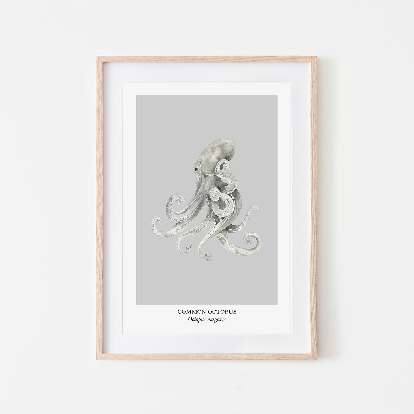 Octopus-Watercolour-Sea-Creature-Wall-Art-in-Bone-Grey