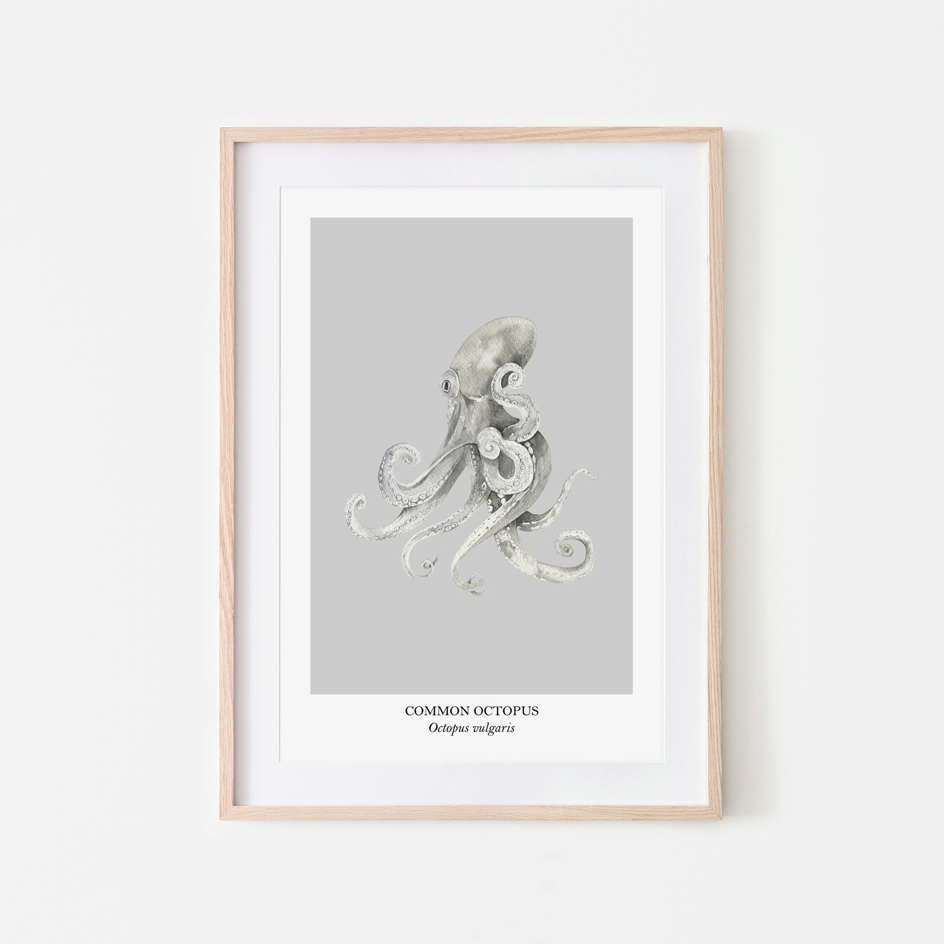 Octopus-Watercolour-Sea-Creature-Wall-Art-in-Bone-Grey