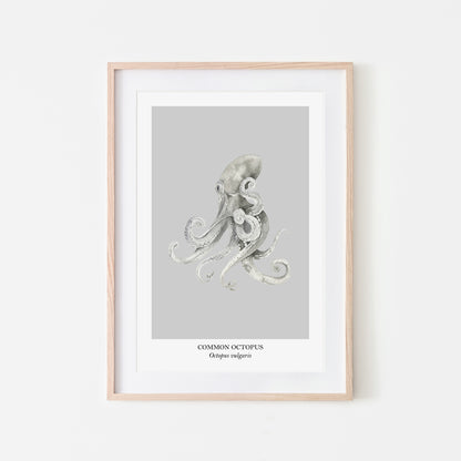 Octopus-Watercolour-Sea-Creature-Wall-Art-in-Bone-Grey