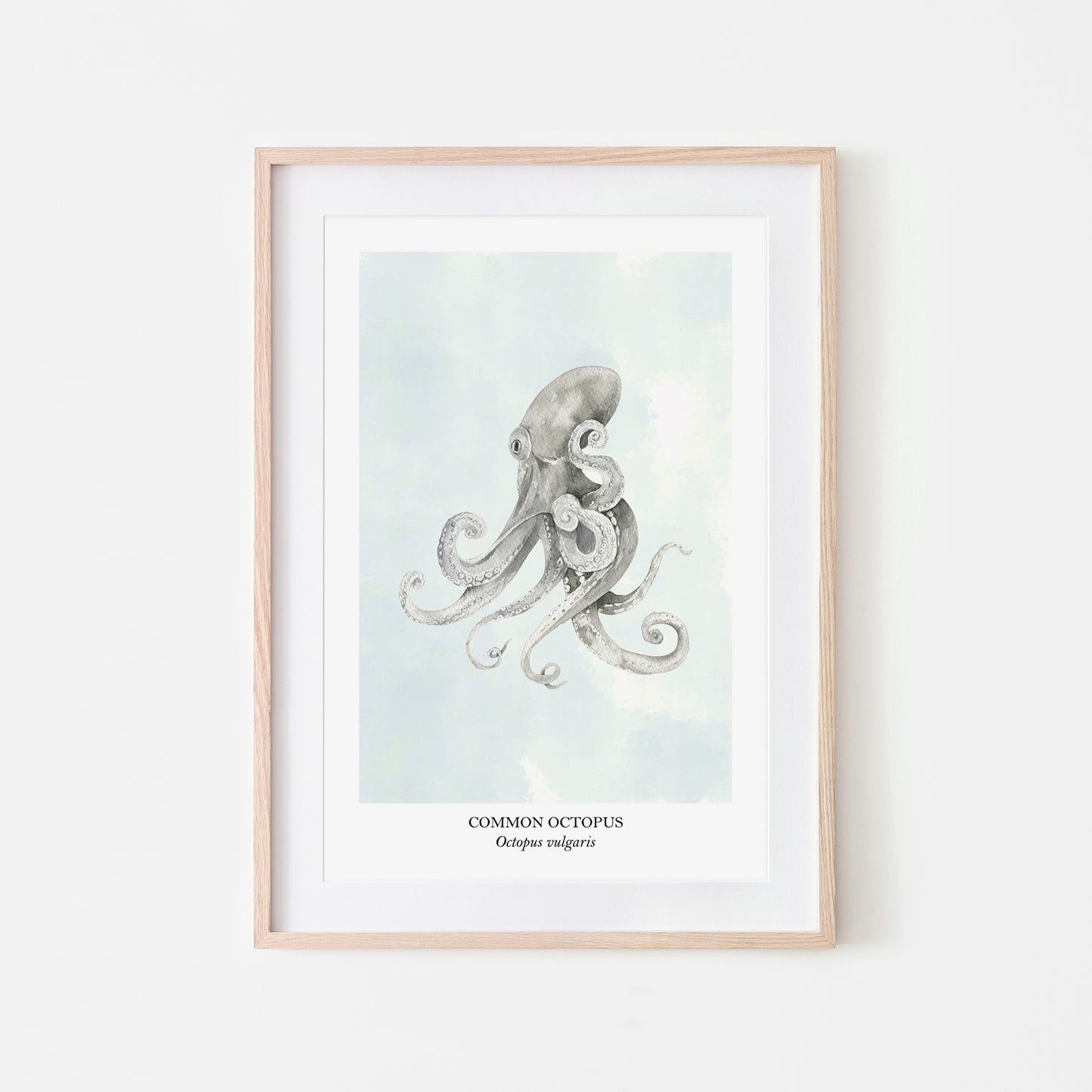 Octopus-Watercolour-Sea-Creature-Wall-Art-in-Cloudy