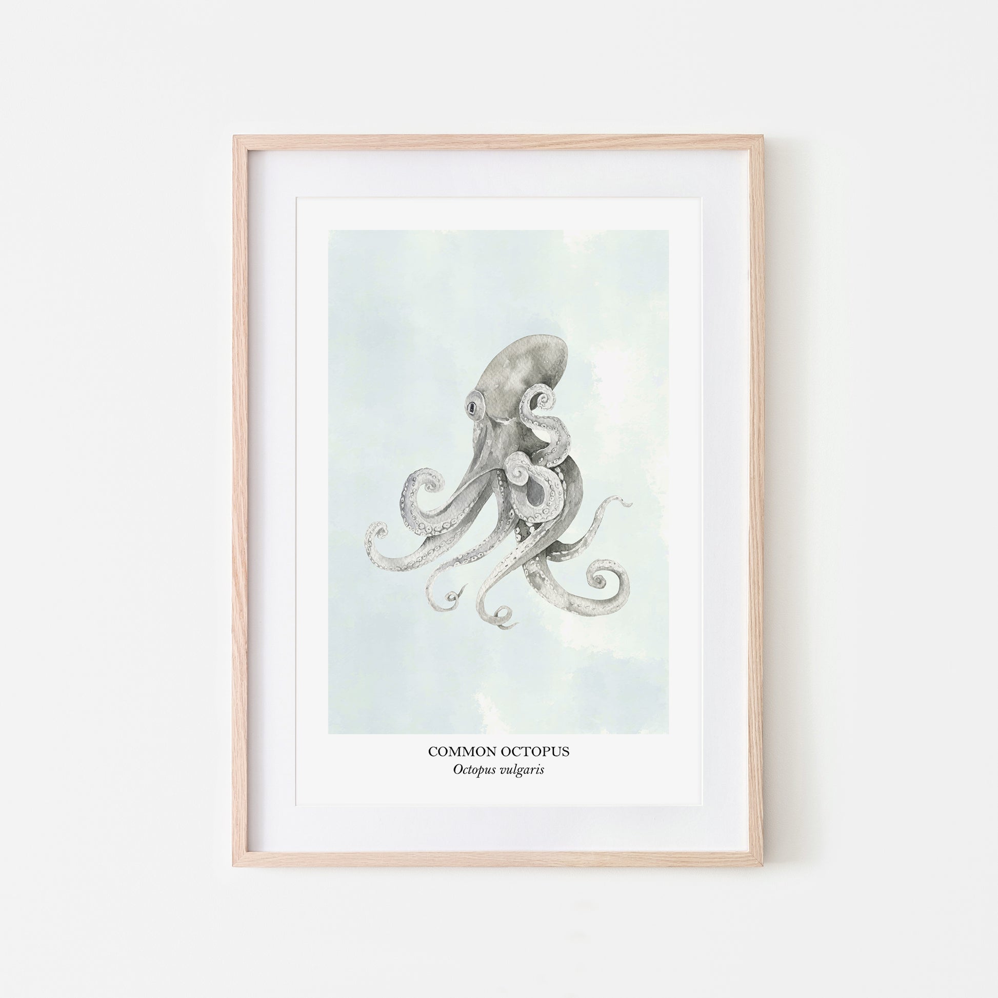 Octopus-Watercolour-Sea-Creature-Wall-Art-in-Cloudy