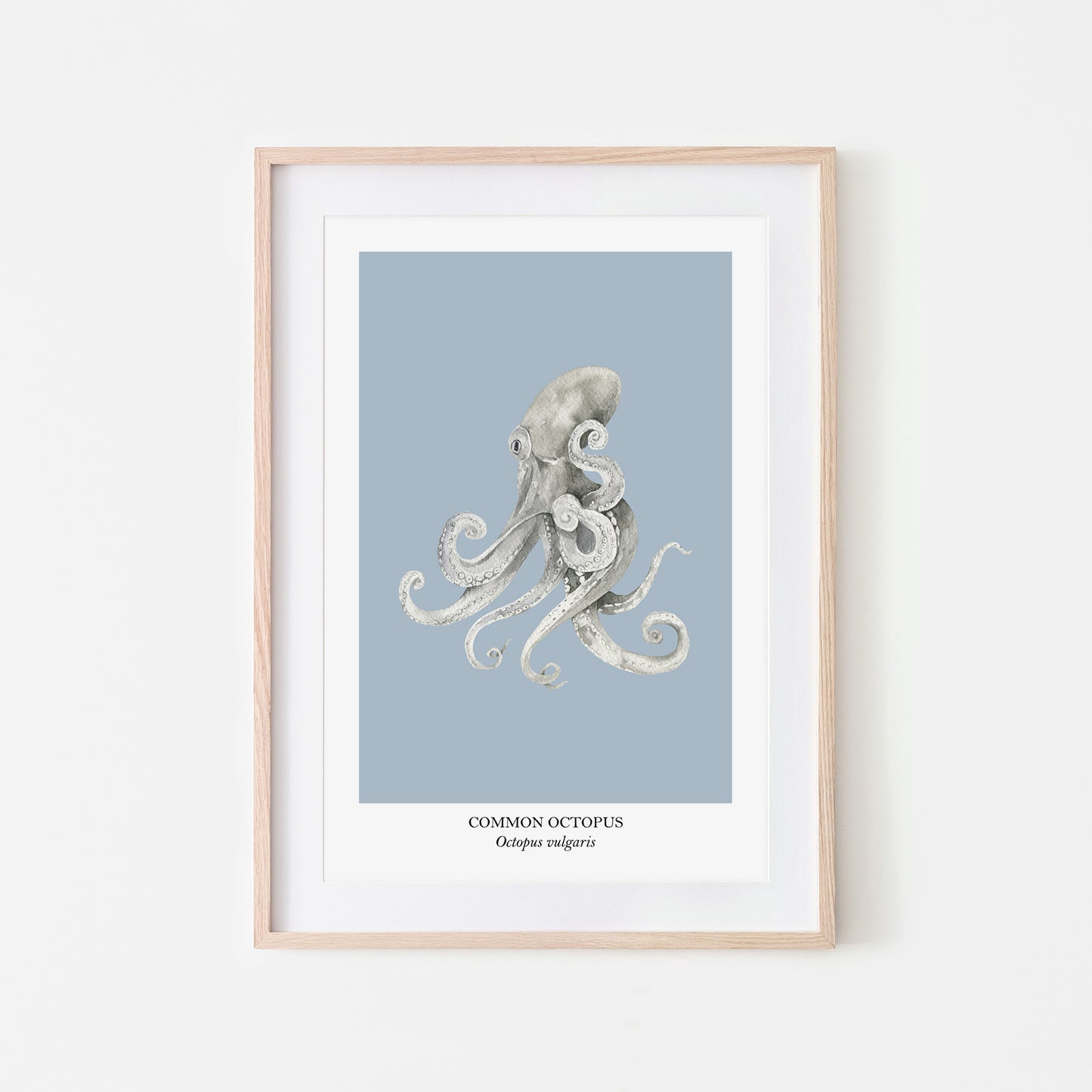 Octopus-Watercolour-Sea-Creature-Wall-Art-in-Fog-Blue