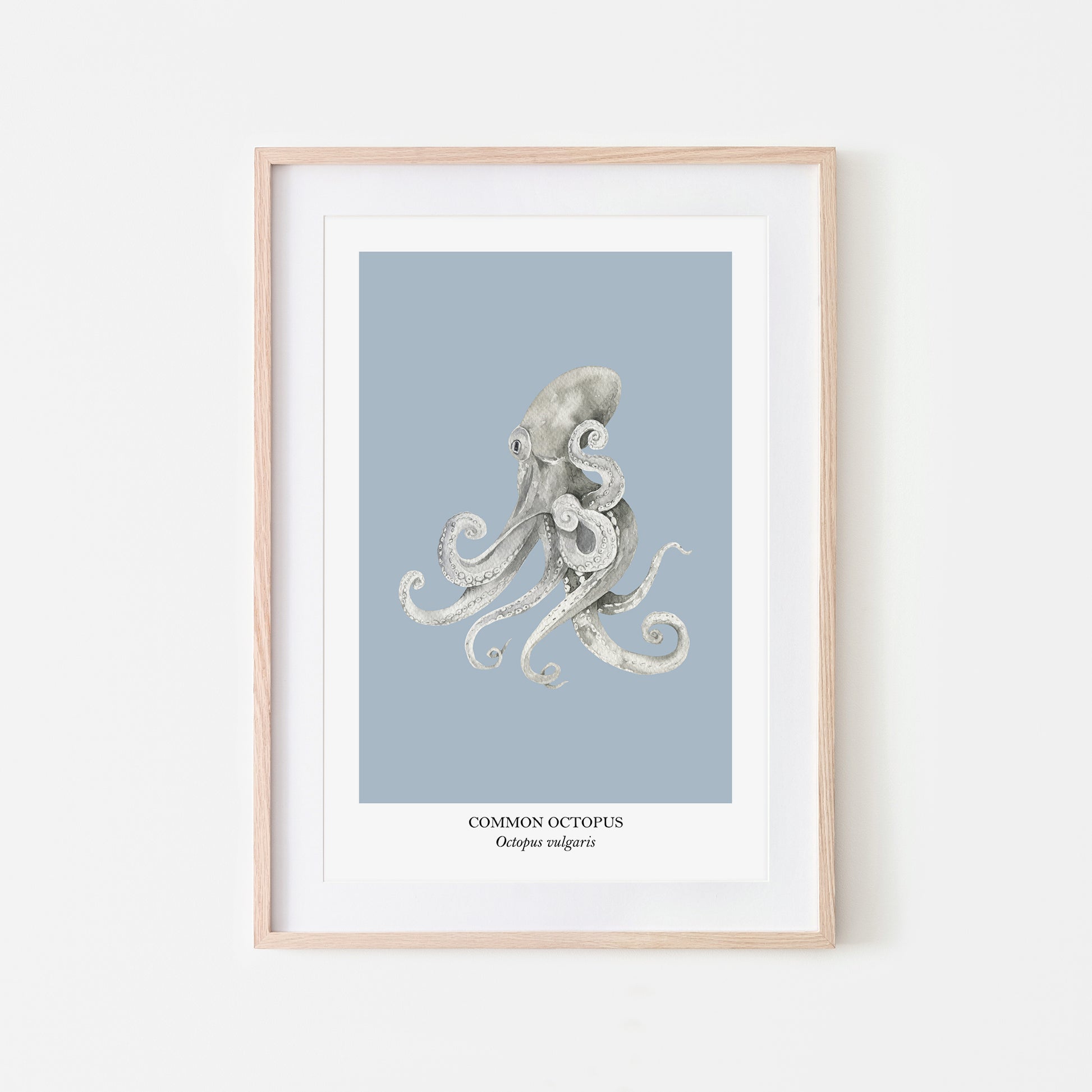 Octopus-Watercolour-Sea-Creature-Wall-Art-in-Fog-Blue