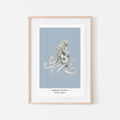 Octopus-Watercolour-Sea-Creature-Wall-Art-in-Fog-Blue