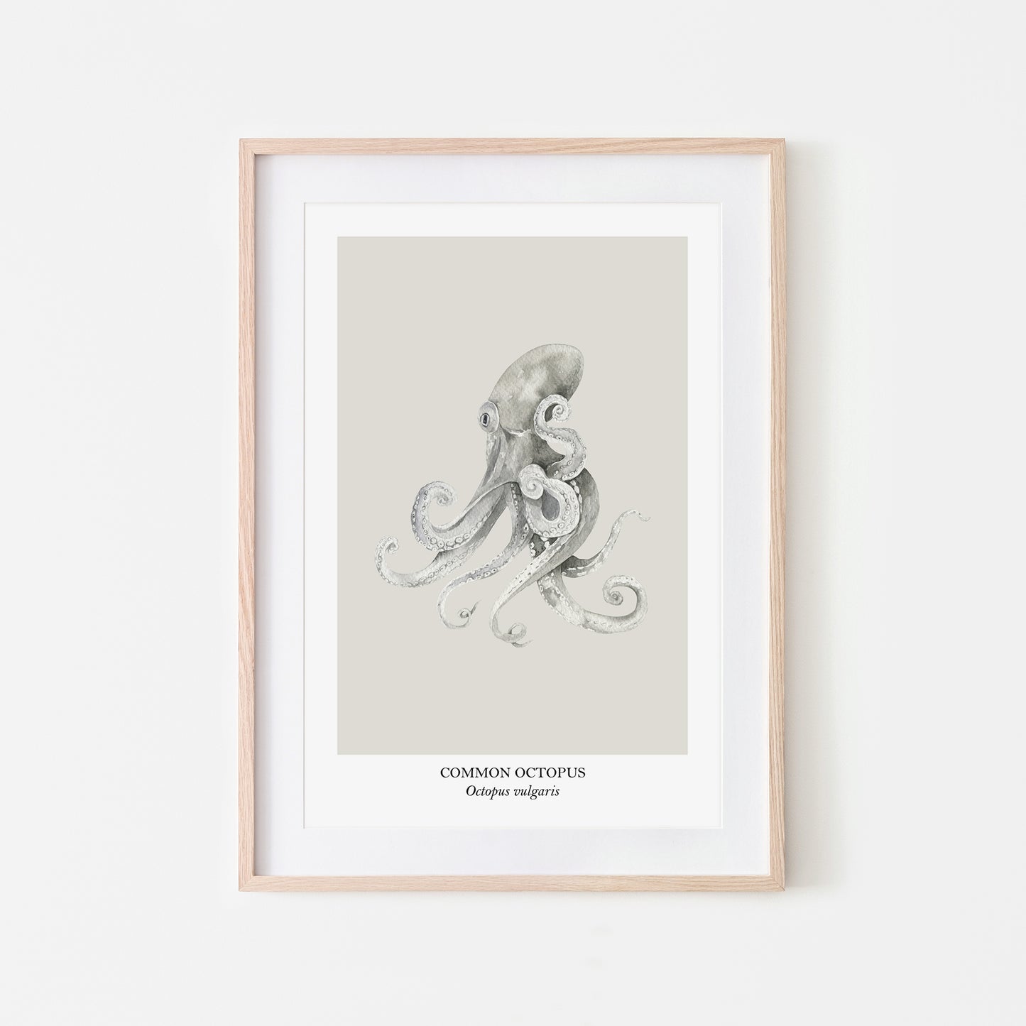 Octopus-Watercolour-Sea-Creature-Wall-Art-in-Linen