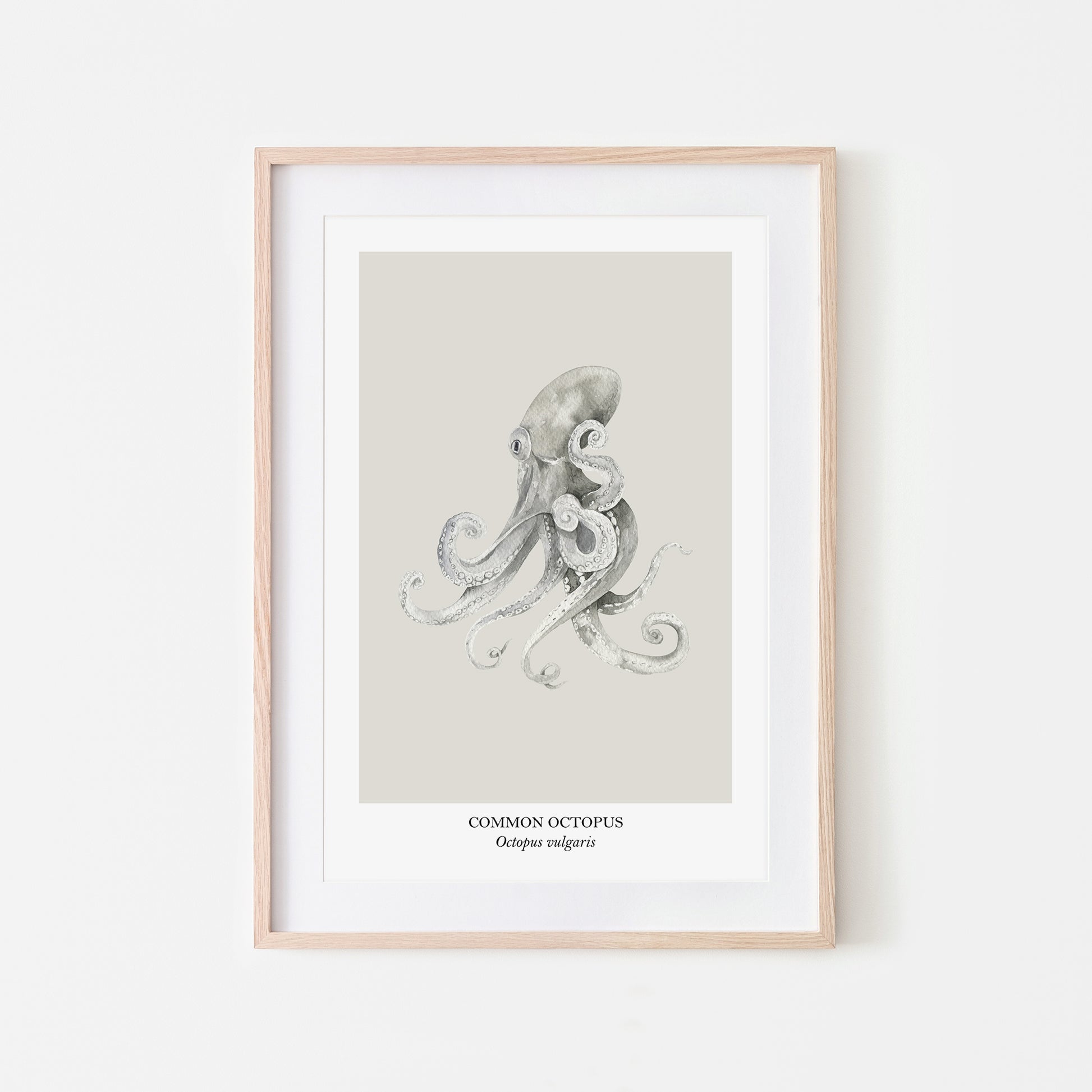 Octopus-Watercolour-Sea-Creature-Wall-Art-in-Linen