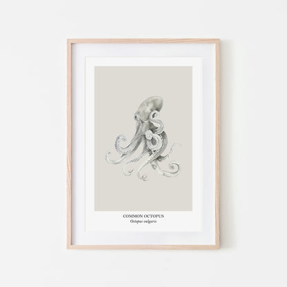 Octopus-Watercolour-Sea-Creature-Wall-Art-in-Linen