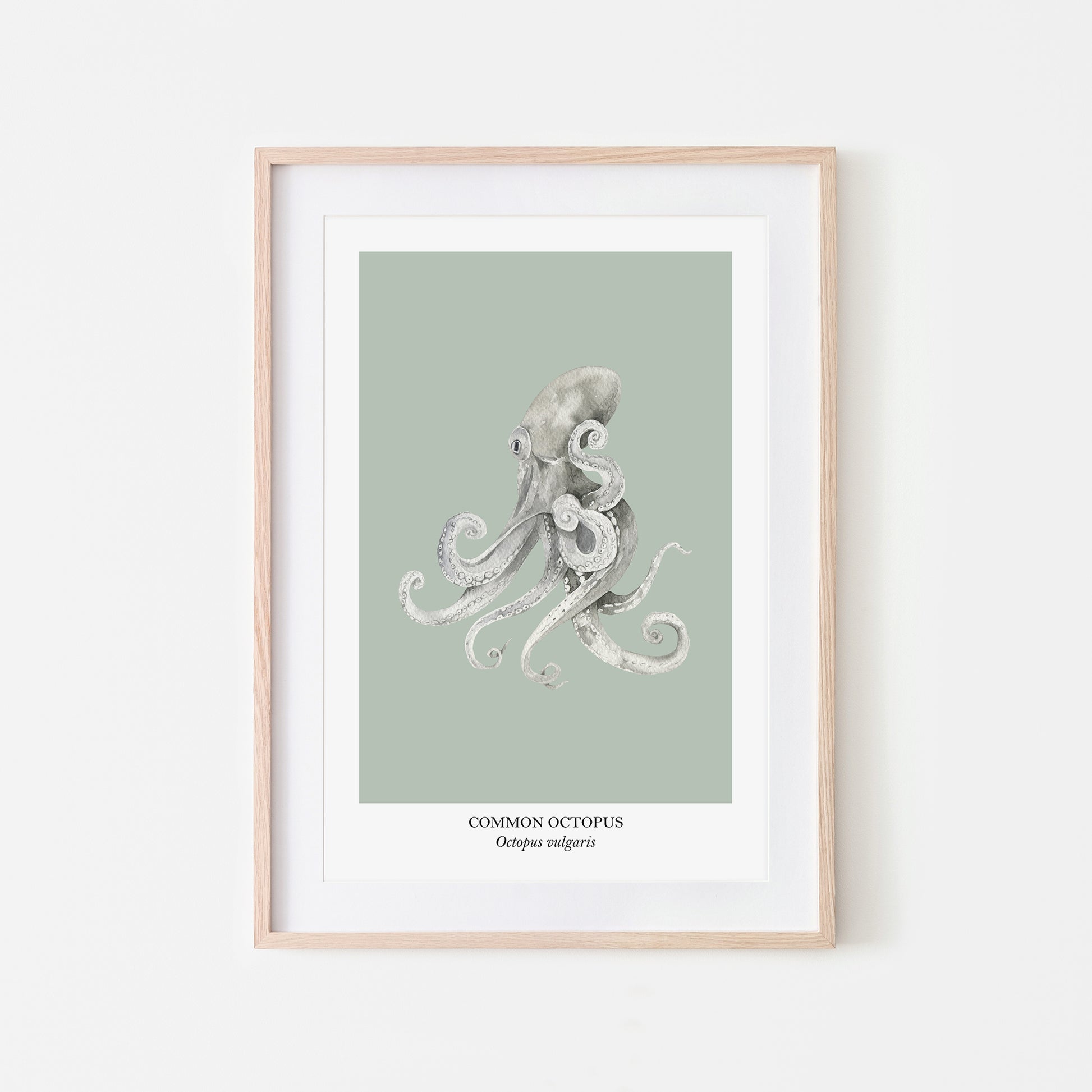Octopus-Watercolour-Sea-Creature-Wall-Art-in-Mist-Green