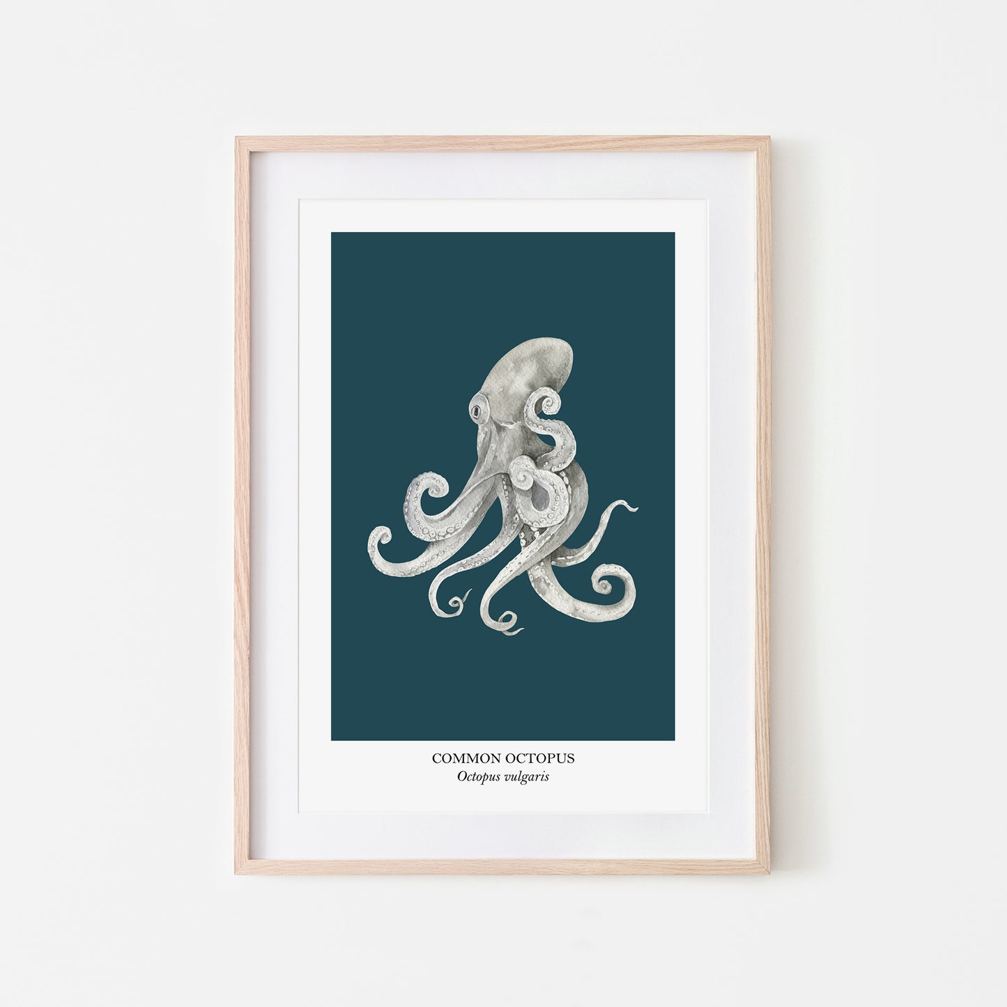 Octopus-Watercolour-Sea-Creature-Wall-Art-in-Navy-Blue