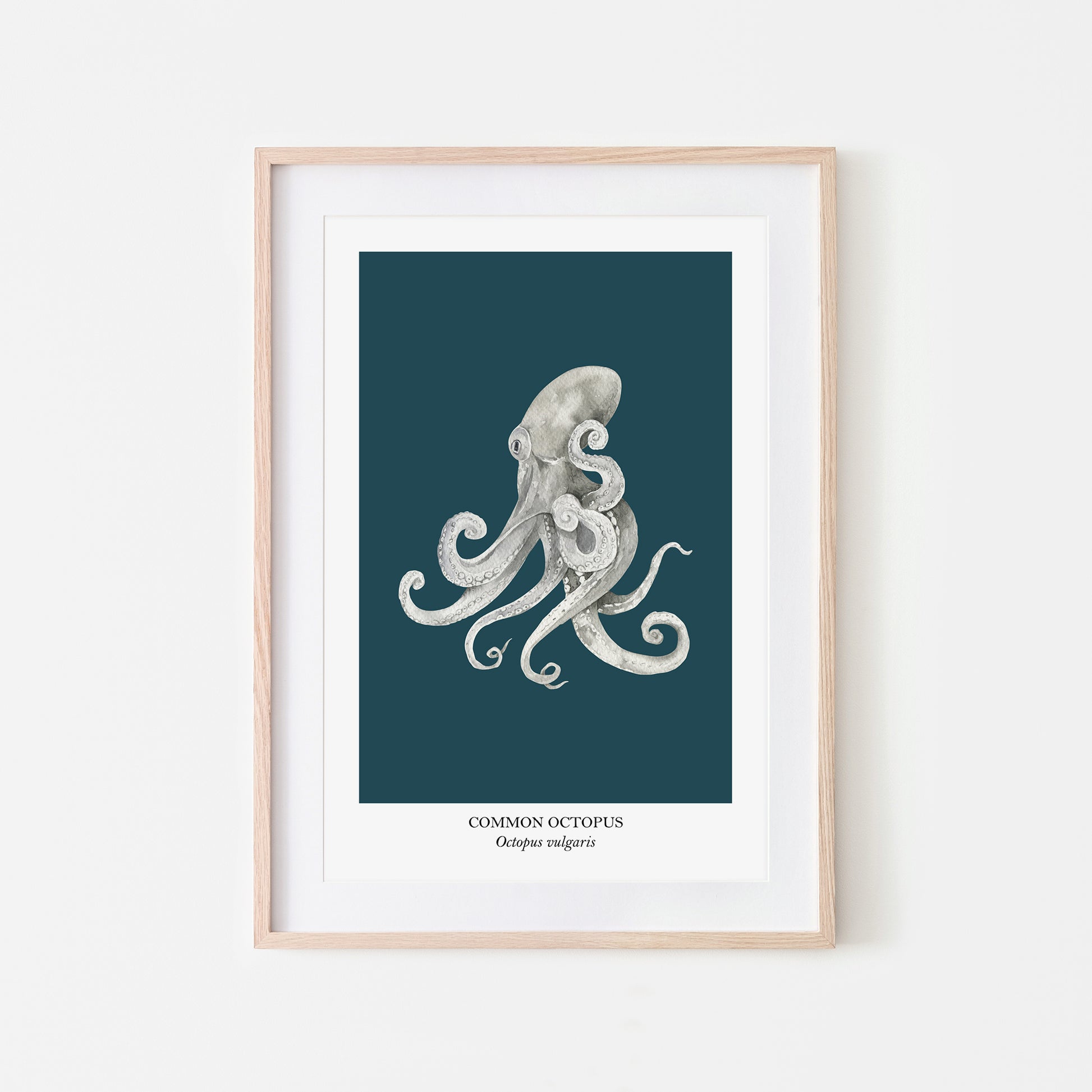 Octopus-Watercolour-Sea-Creature-Wall-Art-in-Navy-Blue