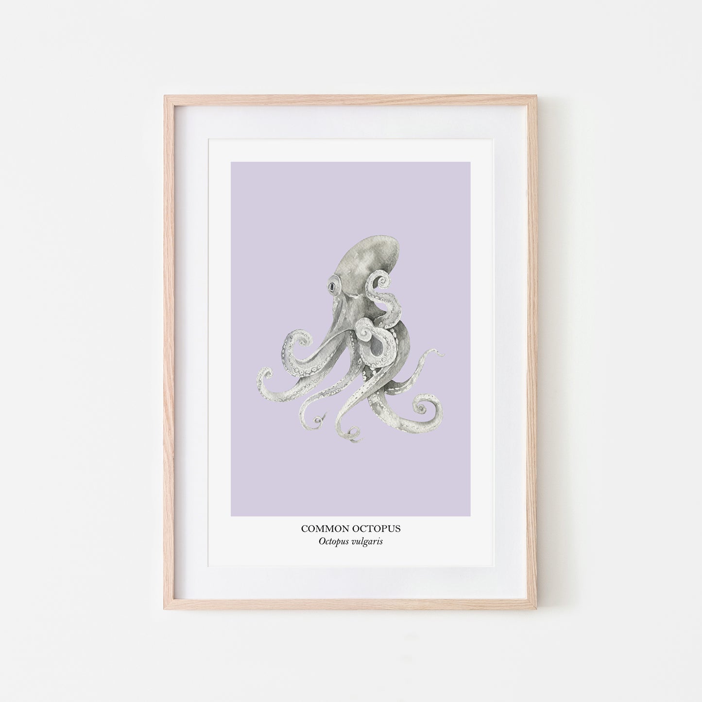 Octopus-Watercolour-Sea-Creature-Wall-Art-in-Peri-Purple