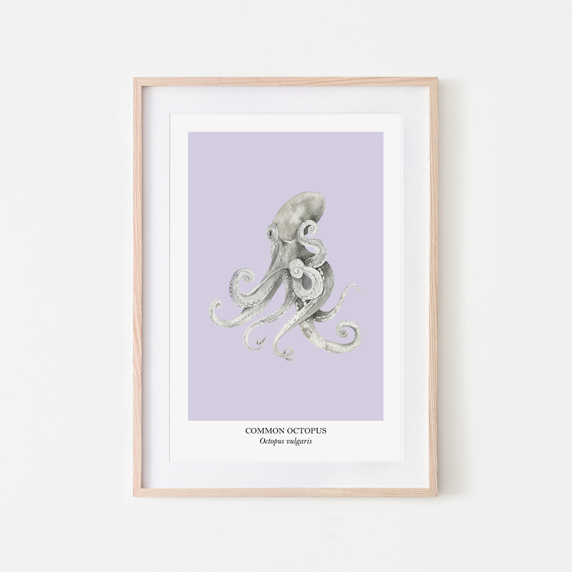Octopus-Watercolour-Sea-Creature-Wall-Art-in-Peri-Purple