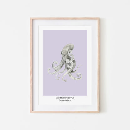 Octopus-Watercolour-Sea-Creature-Wall-Art-in-Peri-Purple