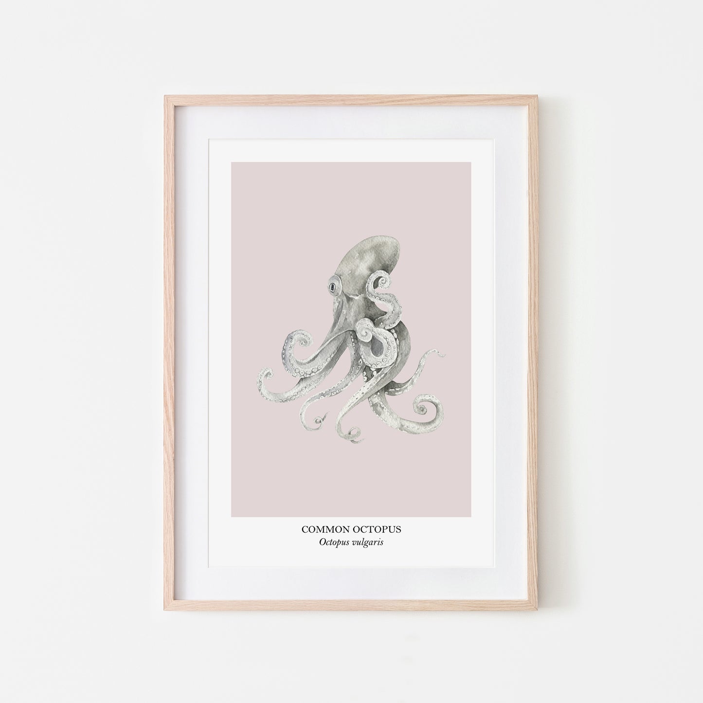 Octopus-Watercolour-Sea-Creature-Wall-Art-in-Pointe-Pink
