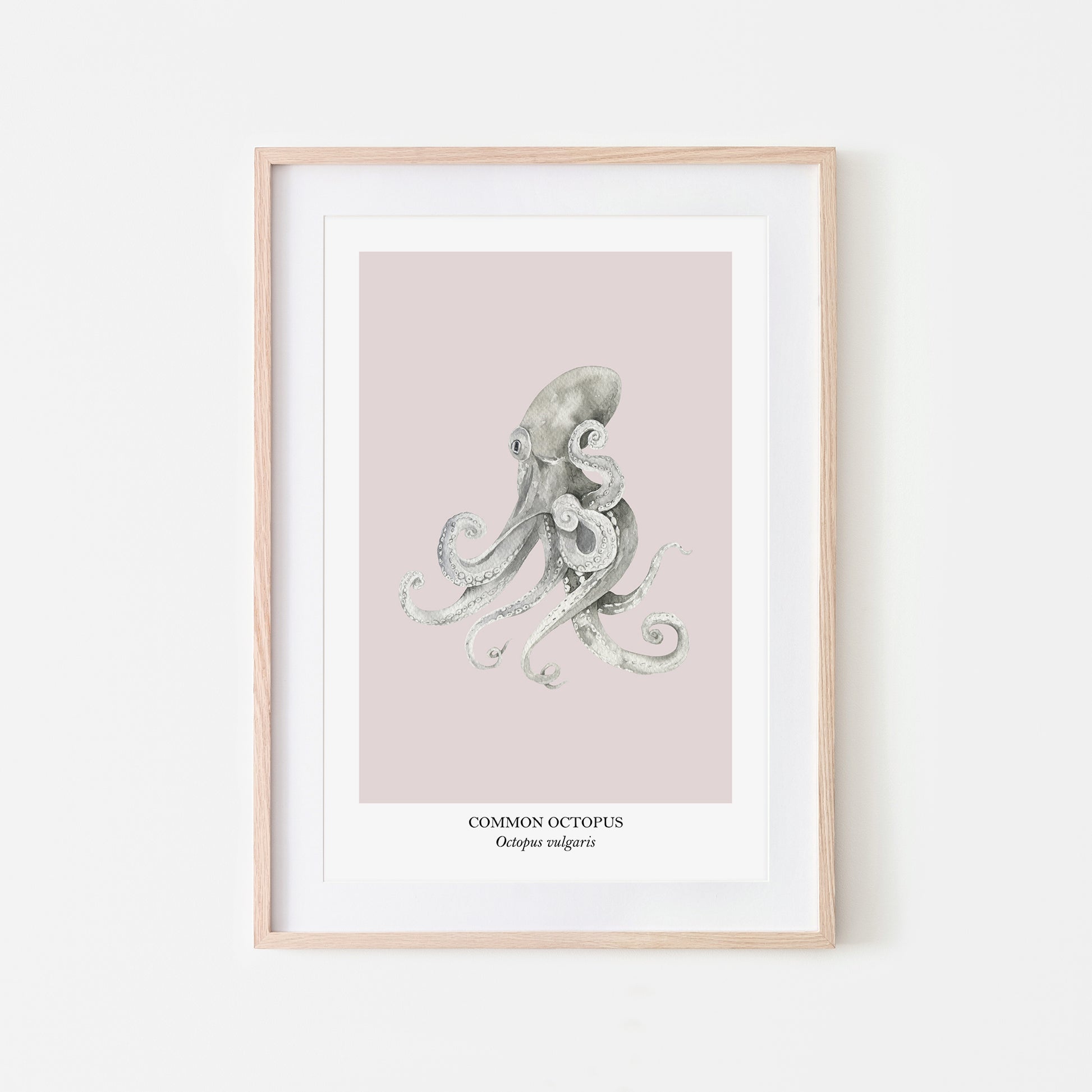 Octopus-Watercolour-Sea-Creature-Wall-Art-in-Pointe-Pink