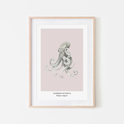 Octopus-Watercolour-Sea-Creature-Wall-Art-in-Pointe-Pink