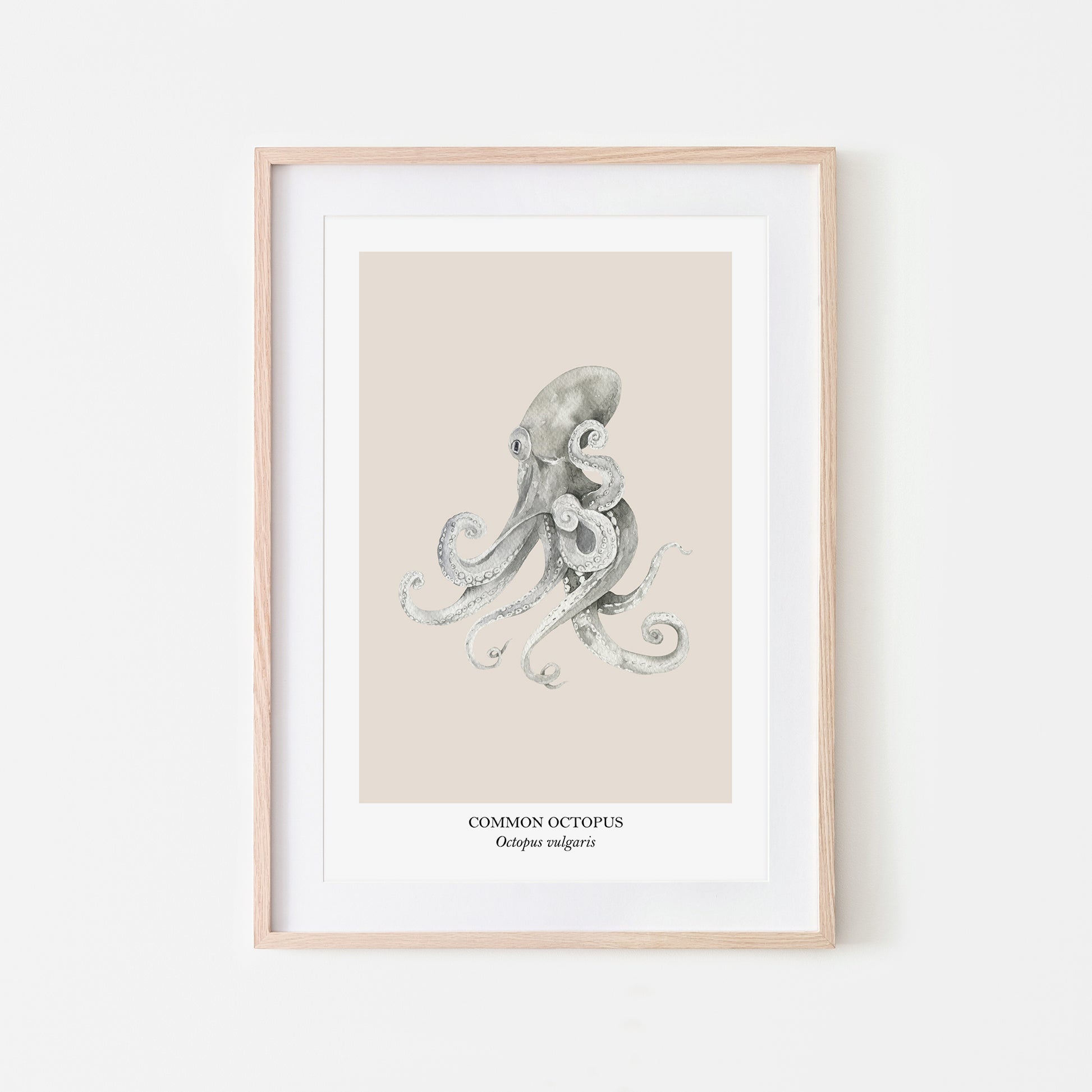 Octopus-Watercolour-Sea-Creature-Wall-Art-in-Sand