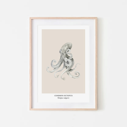 Octopus-Watercolour-Sea-Creature-Wall-Art-in-Sand