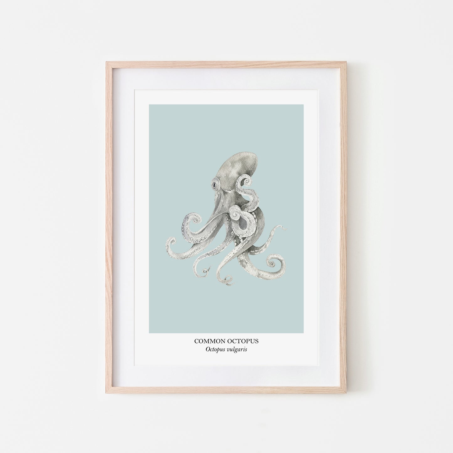 Octopus-Watercolour-Sea-Creature-Wall-Art-in-Shell-Blue