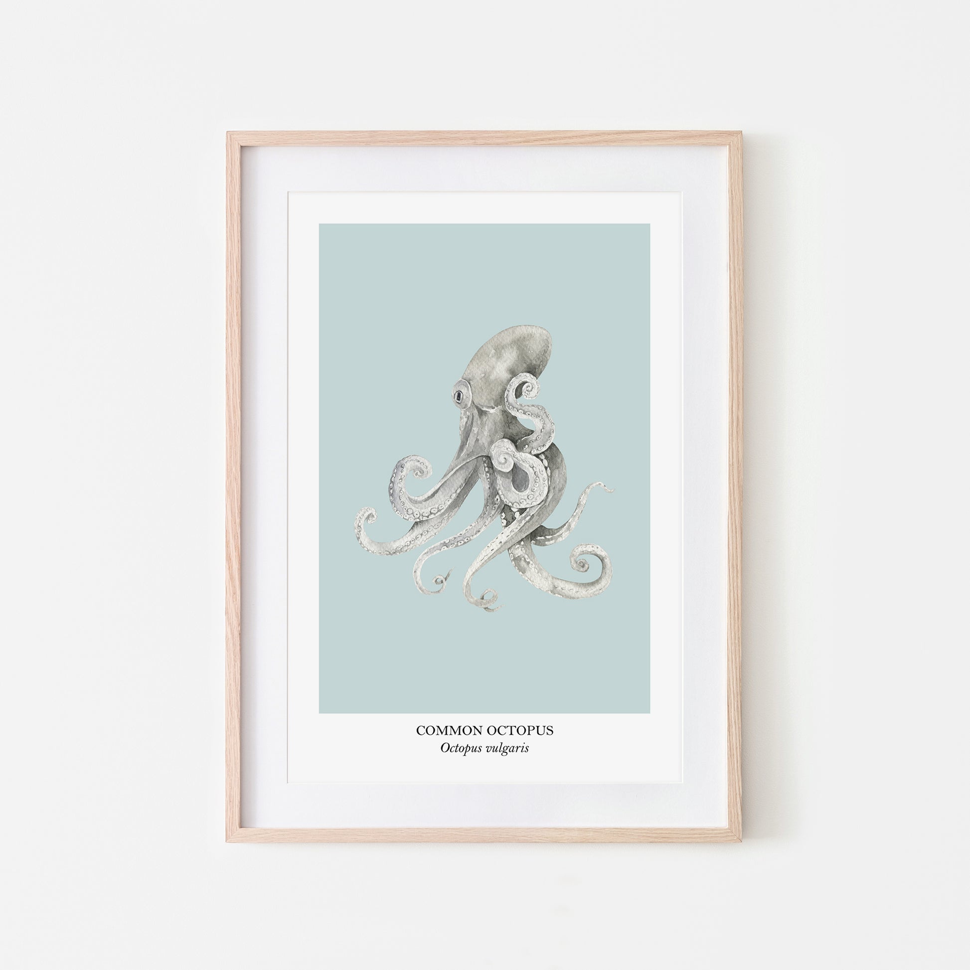Octopus-Watercolour-Sea-Creature-Wall-Art-in-Shell-Blue