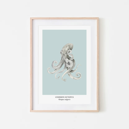 Octopus-Watercolour-Sea-Creature-Wall-Art-in-Shell-Blue