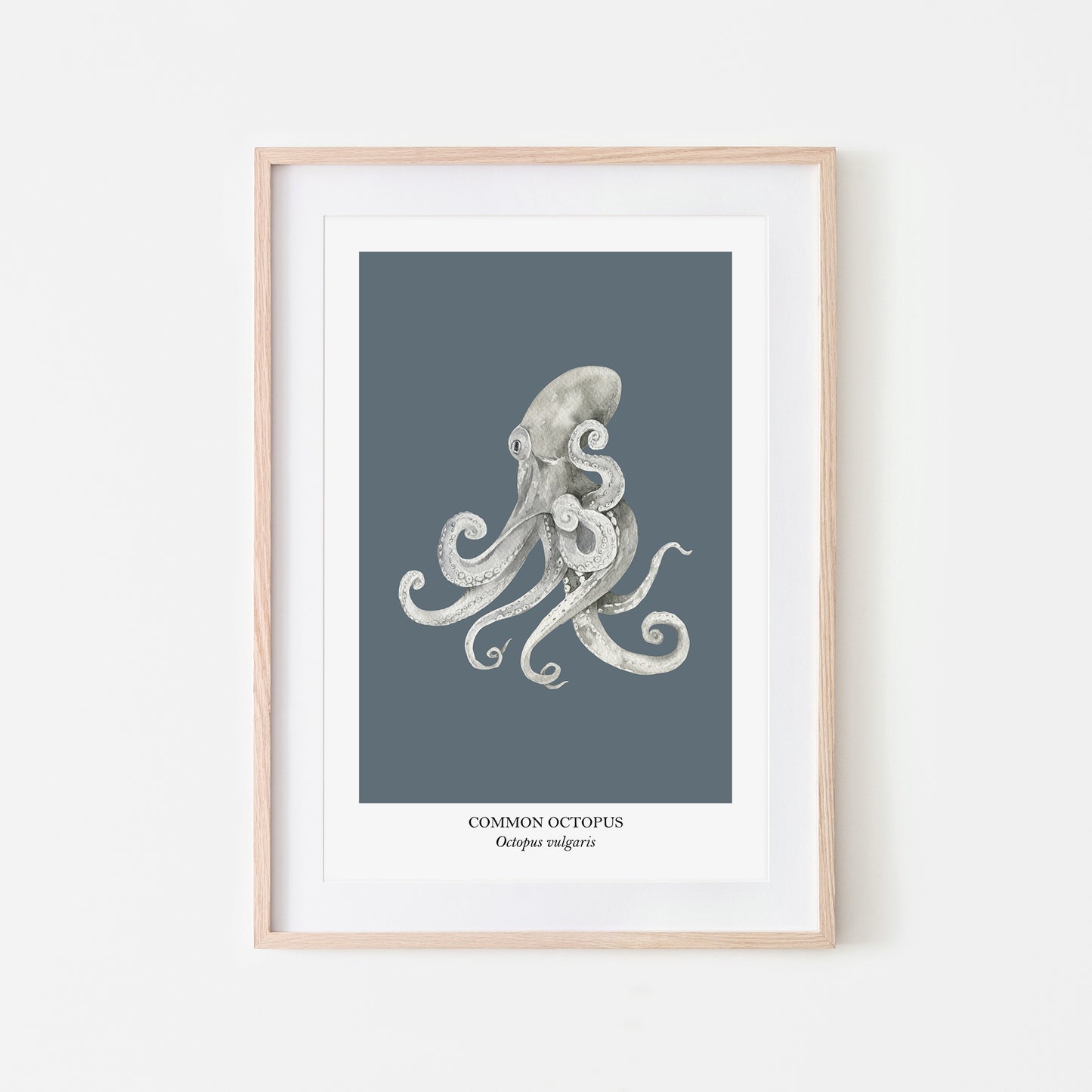 Octopus-Watercolour-Sea-Creature-Wall-Art-in-Sky-Blue