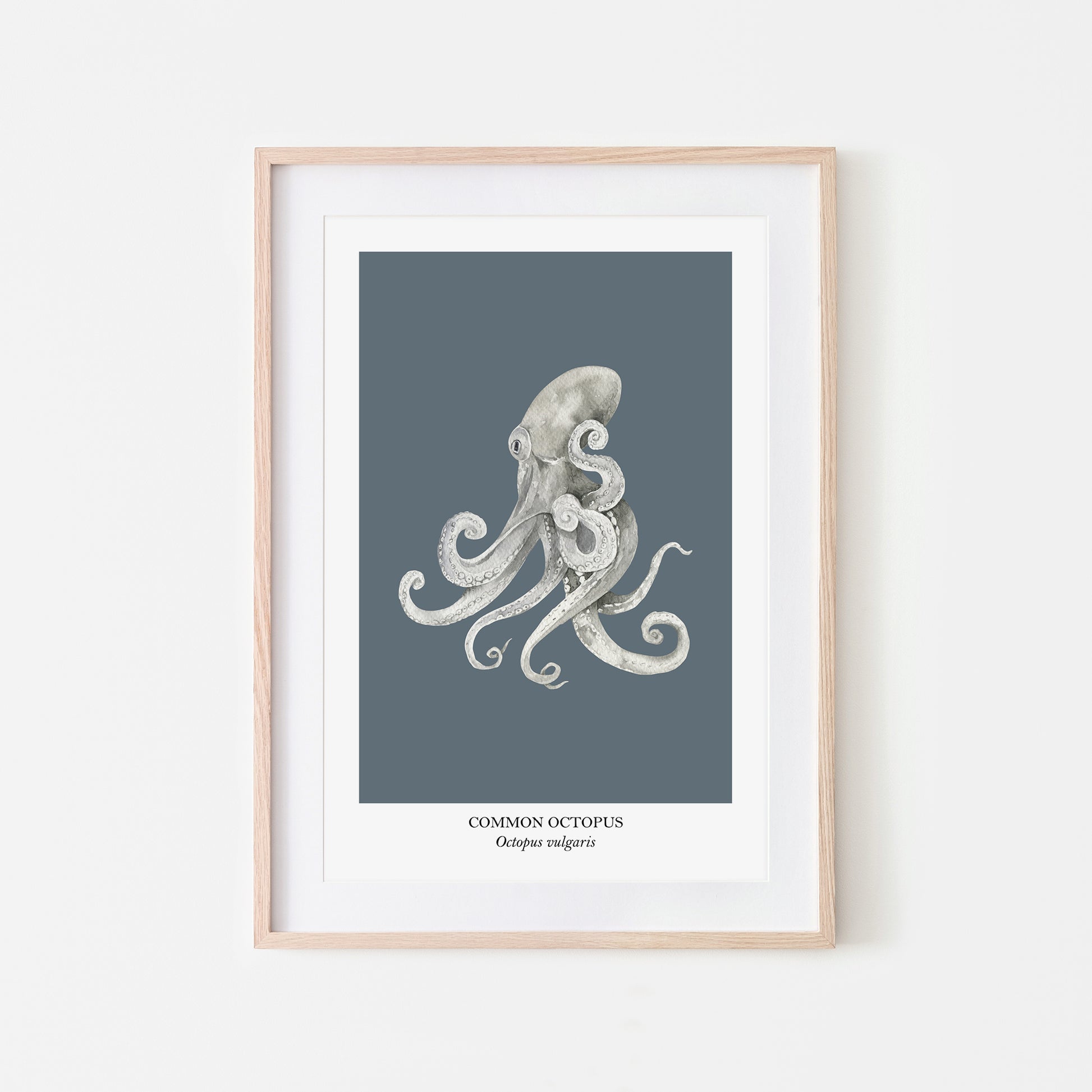 Octopus-Watercolour-Sea-Creature-Wall-Art-in-Sky-Blue