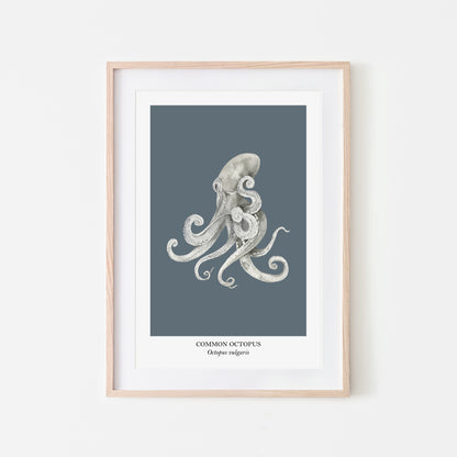 Octopus-Watercolour-Sea-Creature-Wall-Art-in-Sky-Blue