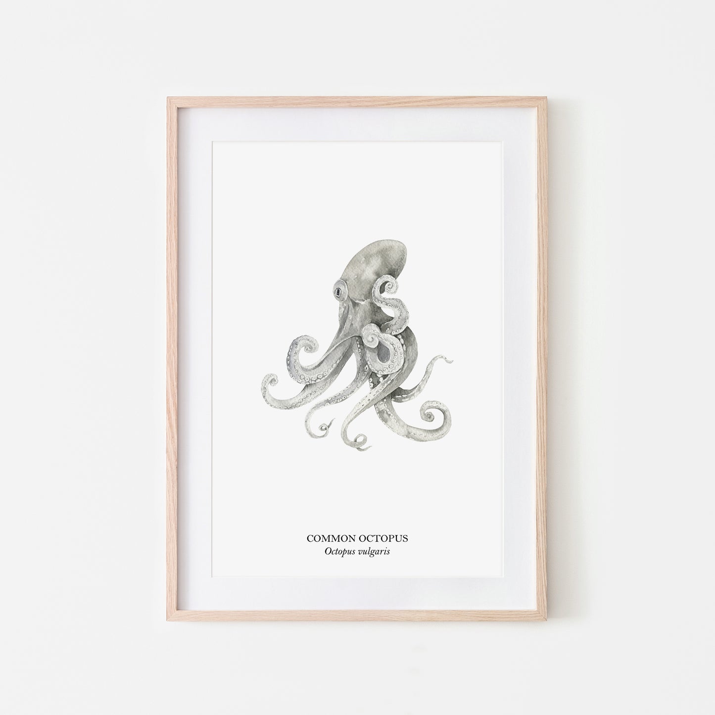 Octopus-Watercolour-Sea-Creature-Wall-Art-in-White