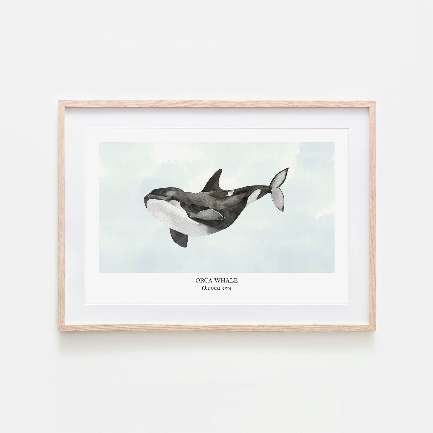 Orca-Whale-Watercolour-Sea-Creature-Wall-Art-in-Cloudy