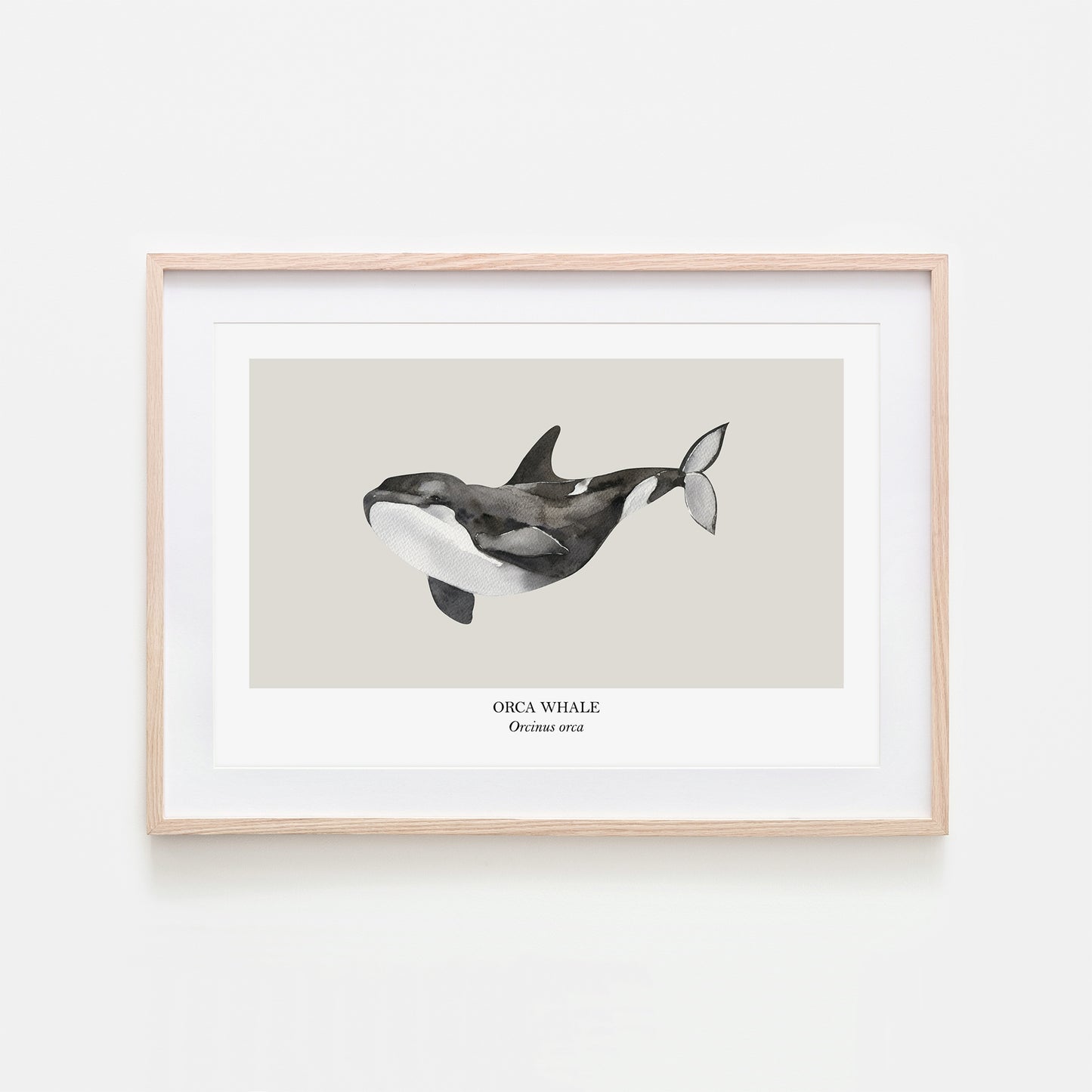 Orca-Whale-Watercolour-Sea-Creature-Wall-Art-in-Linen