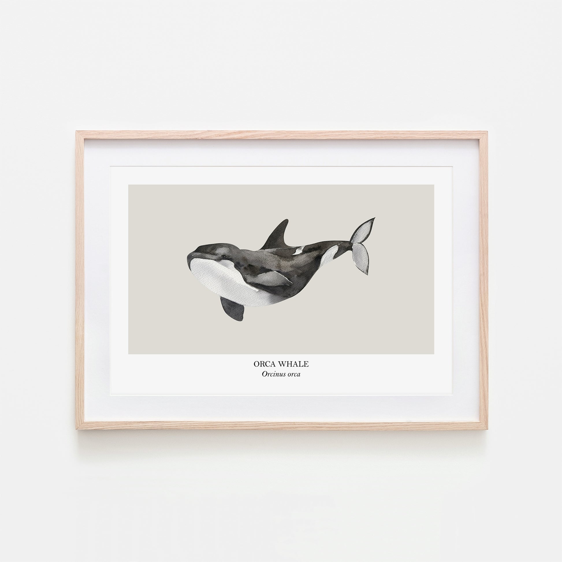 Orca-Whale-Watercolour-Sea-Creature-Wall-Art-in-Linen