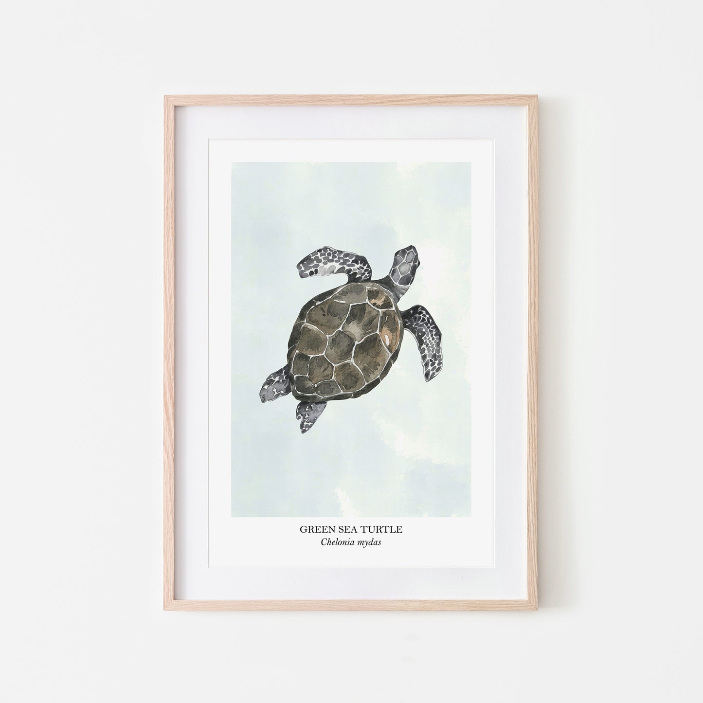 Sea-Turtle-Watercolour-Sea-Creature-Wall-Art-in-Cloudy