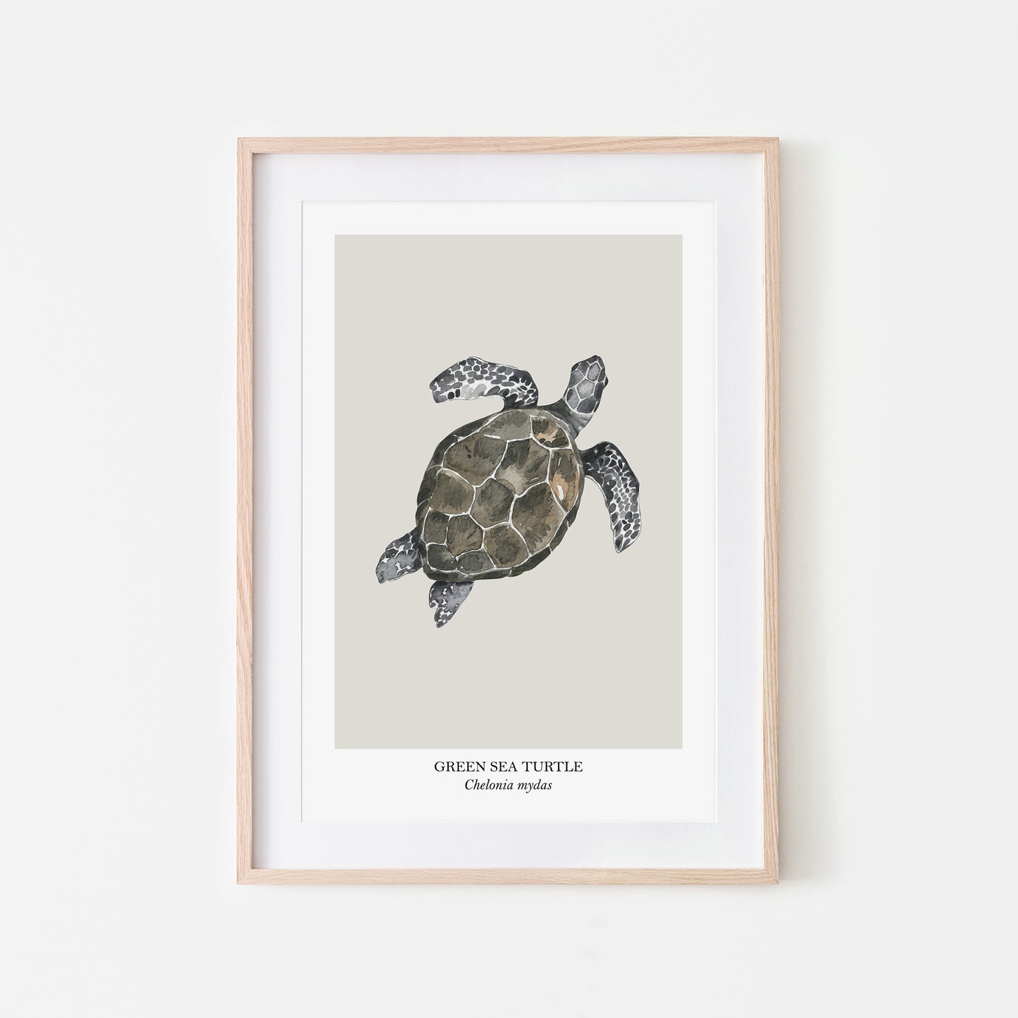 Sea-Turtle-Watercolour-Sea-Creature-Wall-Art-in-Linen