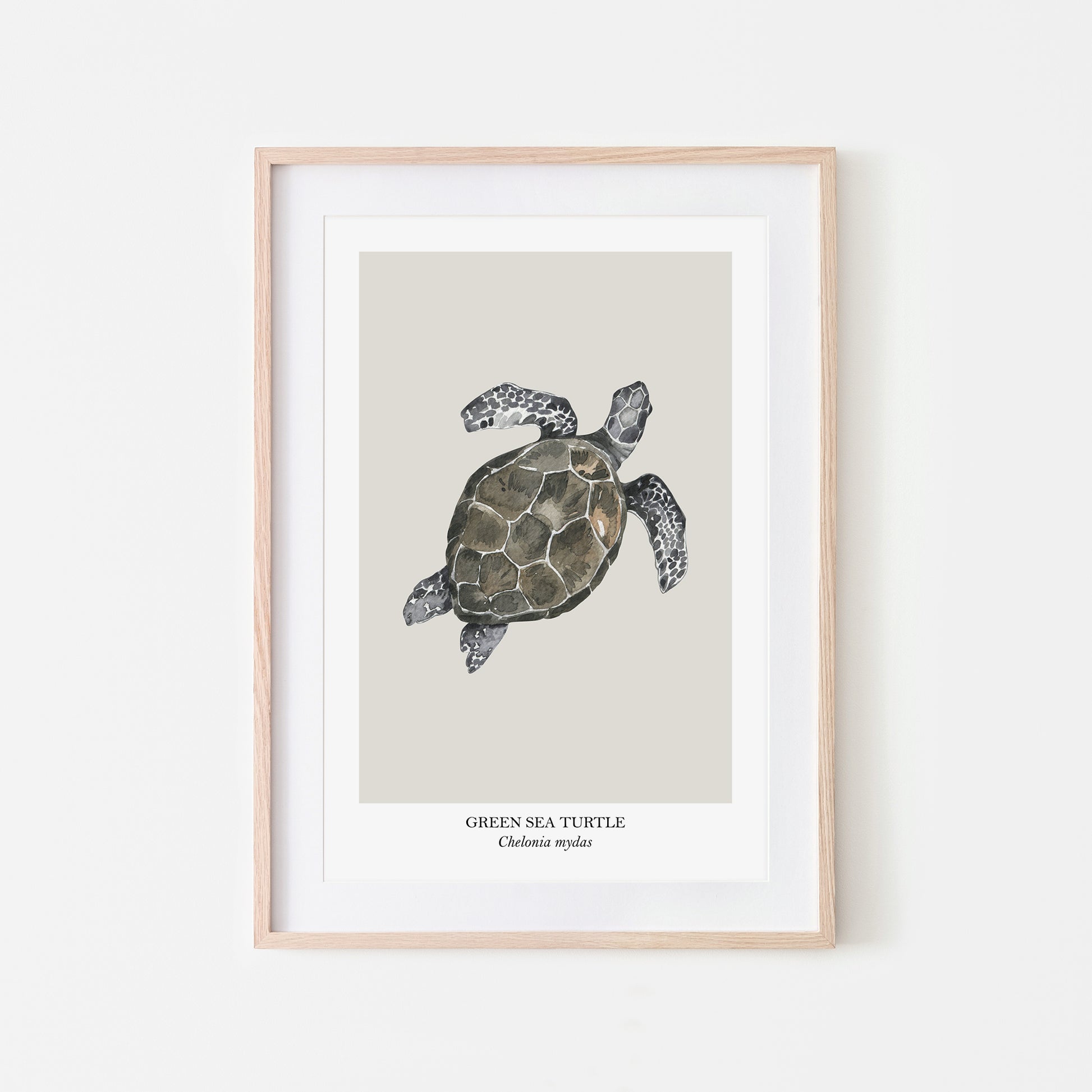 Sea-Turtle-Watercolour-Sea-Creature-Wall-Art-in-Linen